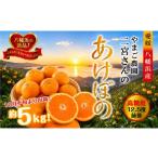 果物類 みかん 先行受付 濃厚な味わい やまご農園