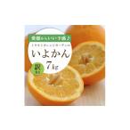 みかん 柑橘類 先行受付 愛媛から いい予感
