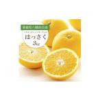 みかん 柑橘類 先行受付 ぷりぷり 酸味さわやか