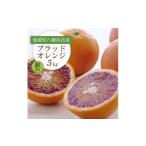 みかん 柑橘類 オレンジ 先行受付 ブラッドオレンジ