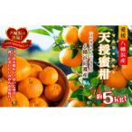 果物類 みかん 先行受付 適度な潮風をうけ