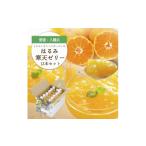 菓子 ゼリー ゲル化剤 pH調整剤不使用 愛媛産