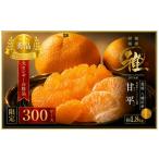 果物類 みかん 先行受付 極撰柑橘 雅 光センサー合格品