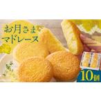 焼菓子 チョコレート マドレーヌ お月さまマドレーヌ 10個