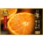 果物類 みかん 先行受付 極撰柑橘 雅 光センサー