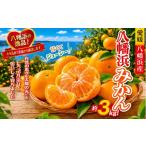 果物類 みかん 先行受付 太陽の光 石垣の反射光