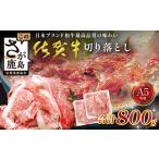 佐賀牛 切り落とし 800g