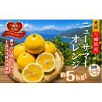 みかん 柑橘類 先行受付 さわやかな香りと上品な甘さ