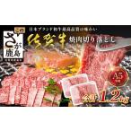 佐賀牛 焼肉 切り落とし 1200g