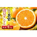 みかん 柑橘類 先行受付 初夏の香り すっきり爽快