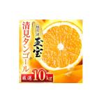 みかん 柑橘類 先行受付 愛媛名産 玉宝清見タンゴール 10kg
