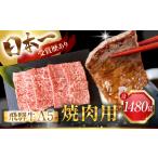 牛肉 モモ 3ヶ月定期便 飛騨牛 A5 焼肉用