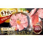 牛肉 ヒレ 3ヶ月定期便 飛騨牛 A5 しゃぶしゃぶ用
