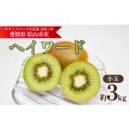 果物類 キウイフルーツ ヘイワード 小玉 約3kg