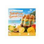 飲料類 クラフトコーラ TOROPICAL
