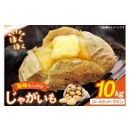 ふるさと納税 野菜類 じゃがいも 長崎県 東彼杵町 じゃがいも メークイン 産地直送 春野菜 野田さん家のじゃがいも ゴールドメークイン 10kg 限定20個 野田物…