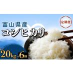 米 コシヒカリ 6回定期便 20kg
