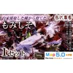加工品等 もみしそ 500g