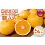 みかん 柑橘類 甘夏5kg 1727714