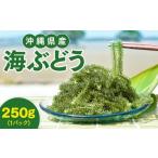 海ぶどう 250g× 1 パック 新鮮 グリーンキャビア
