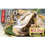 fu.... налог .. Ishikawa префектура 7 хвост город талант . половина остров земля ... поддержка морепродукты ..| талант .... есть .. примерно 3.5kg( примерно 30 шт ) специальный нож * с одной стороны для армия рука есть Ishikawa префектура 7 хвост город талант...