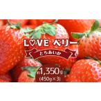いちご 2027年1月~ とちあいか LOVE