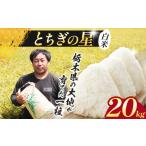 米 コシヒカリ お米 こめ ミルキークイーン 20kg