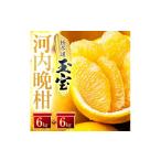 みかん 柑橘類 先行受付 愛媛名産 玉宝河内晩柑 12kg