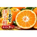みかん 柑橘類 先行受付 愛媛名産 玉宝伊予柑 5kg