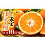 みかん 柑橘類 先行受付 愛媛名産 玉宝伊予柑 10kg