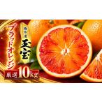 みかん 柑橘類 オレンジ 先行受付 愛媛名産