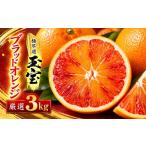 みかん 柑橘類 オレンジ 先行受付 愛媛名産