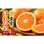 みかん 柑橘類 先行受付 愛媛名産 玉宝はれひめ 4kg