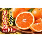 みかん 柑橘類 先行受付 愛媛名産 玉宝はれひめ 10kg