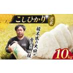 米 コシヒカリ お米 こしひかり 玄米 10kg
