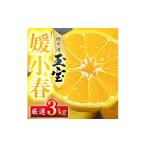 みかん 柑橘類 先行受付 愛媛名産 玉宝媛小春