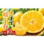 みかん 柑橘類 先行受付 愛媛名産 玉宝媛小春