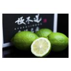 みかん 柑橘類 凛とした酸味 極まる グリーンレモン4kg