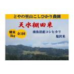 ふるさと納税 米 コシ�