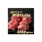 牛肉 すき焼き 産高崎牛切落し1kg N-11