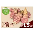 人参 大根 他根菜 栽培期間中農薬不使用 菊芋 約1.5kg