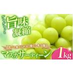 果物類 ぶどう シャイン一族の希少高級品種