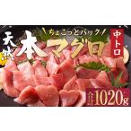 惣菜 レトルト 冷凍 天然本マグロ 中とろ 切落し