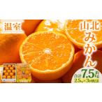 山北温室みかん 2.5kg