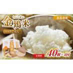 米 ヒノヒカリ 白米 パックごはん 40個×4回