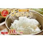 お米 白米 ヒノヒカリ 10kg×4回