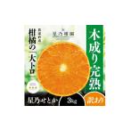 \みかんの大トロ 糖度12.0以上酸1.4以下