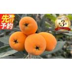 果物類 びわ 産びわ 1kg