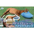 キャラクター アドマイヤジャパン×Yogibo
