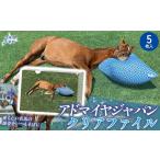 文房具 玩具 アドマイヤジャパン×Yogibo